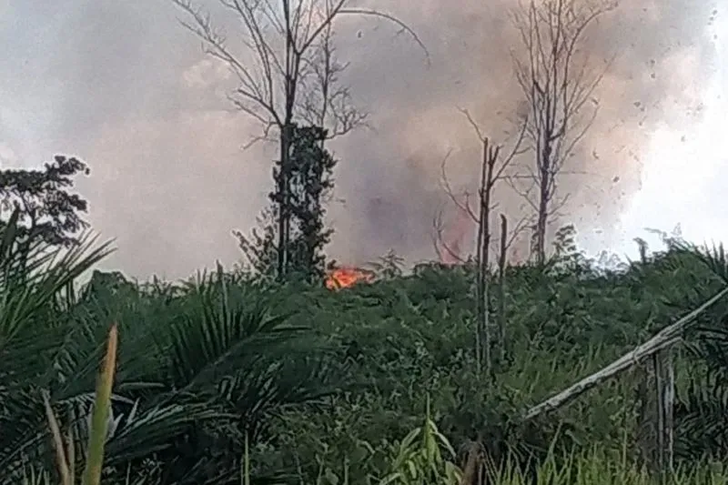 Api masih menyala di dalam kawasan Taman Hutan Raya (Tahura) Sultan Thaha Syaifuddin  Jambi