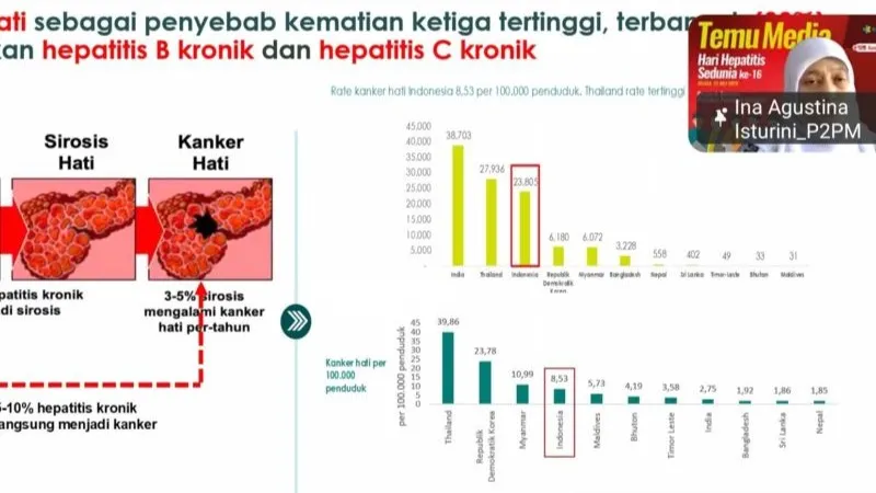 Direktur Penyakit Menular Kemenkes Ina Agustina Isturini
