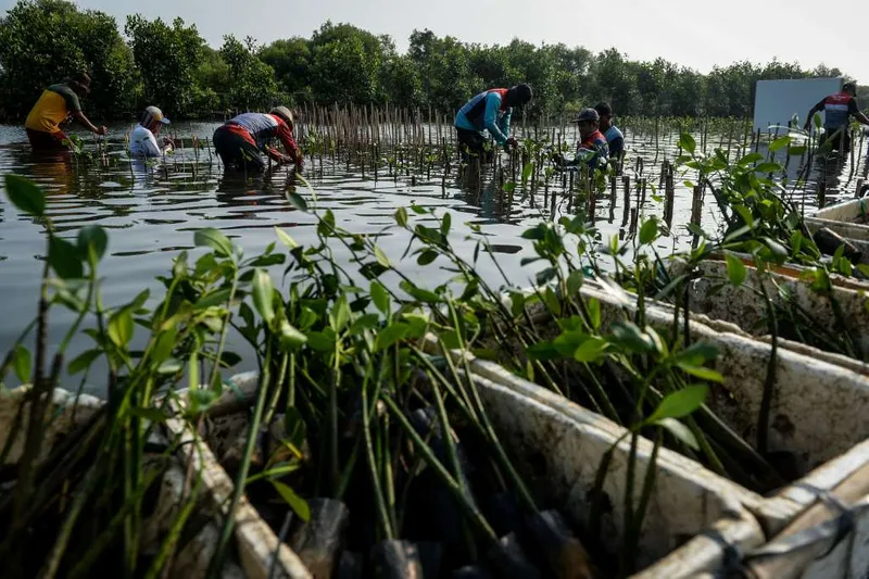 antarafoto-penanaman-bibit-mangrove-di-tangerang-1753609740-1