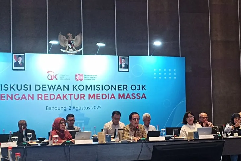 Anggota Dewan Komisioner sekaligus Kepala Eksekutif Pengawas Perbankan OJK Dian Ediana Rae