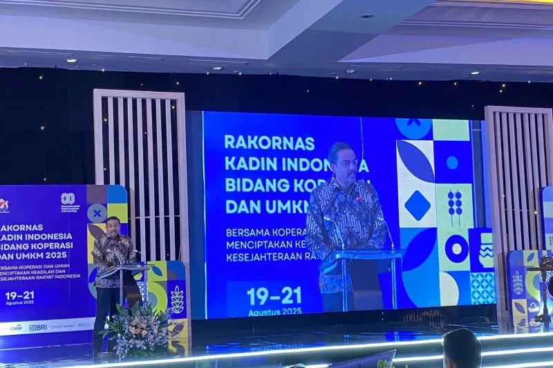 Menteri Usaha Mikro, Kecil, Menengah Maman Abdurrahman