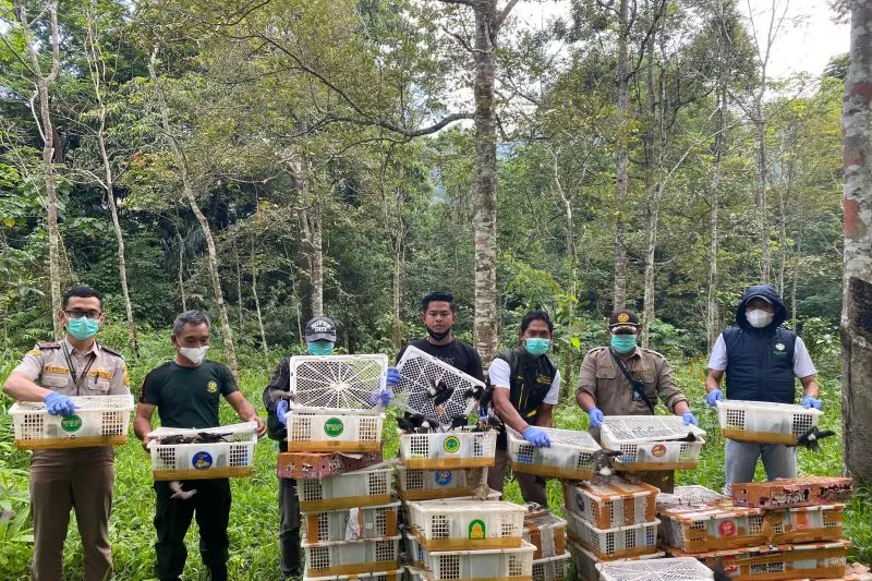 melepasliarkan satwa liar jenis burung di kawasan hutan Kaki Gunung Rajabasa
