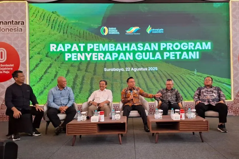 Deputi Bidang Ketersediaan dan Stabilitas Pangan Bapanas I Gusti Ketut Astawa