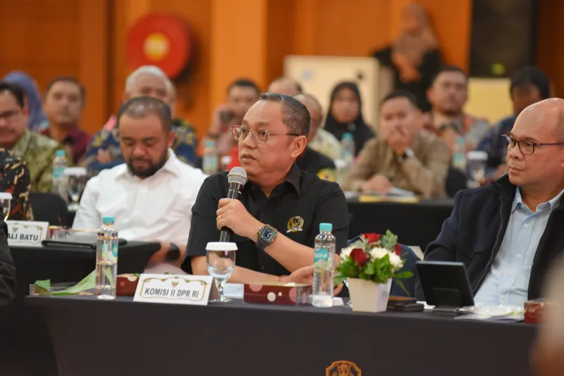 Anggota Komisi II DPR RI, Deddy Sitorus