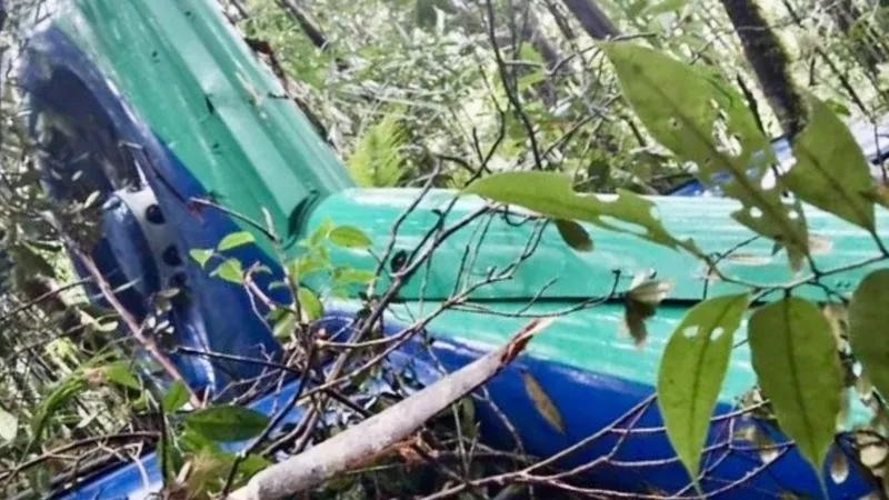 Foto bagian ekor dari bangkai Helikopter BK117 D3 di hutan Mentewe Kalimantan Selatan