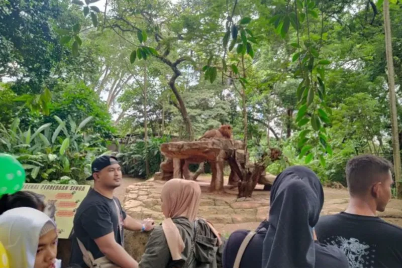 Situasi Kebun Binatang Bandung atau Bandung Zoo