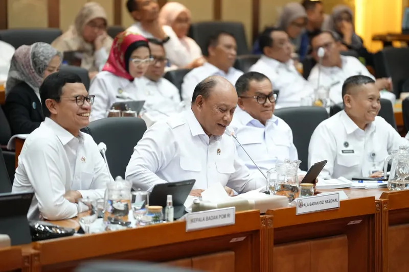 Kepala Badan Gizi Nasional (BGN), Dadan Hindayana 