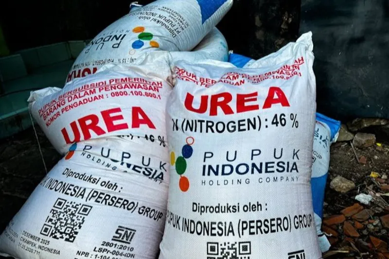 Sejumlah karung pupuk subsidi jenis urea