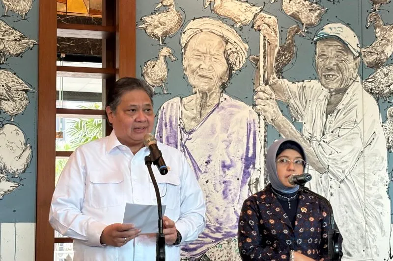 Menteri Koordiantor Bidang Perkeonomian Airlangga Hartarto 