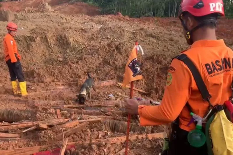 Tim SAR gabungan mengerahkan anjing pelacak untuk mencari korban bencana longsor Cilacap