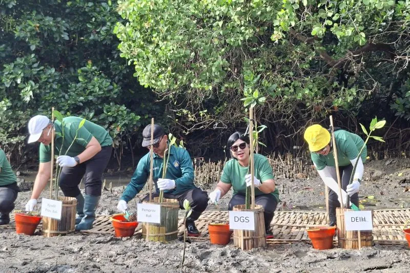 Deputi Gubernur Senior BI Destry Damayanti 