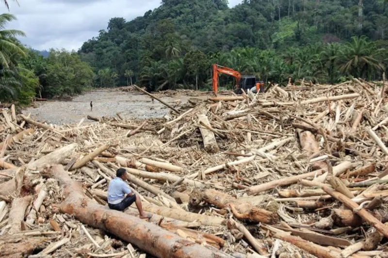  Warga mengamati sampah kayu gelondongan pascabanjir bandang 