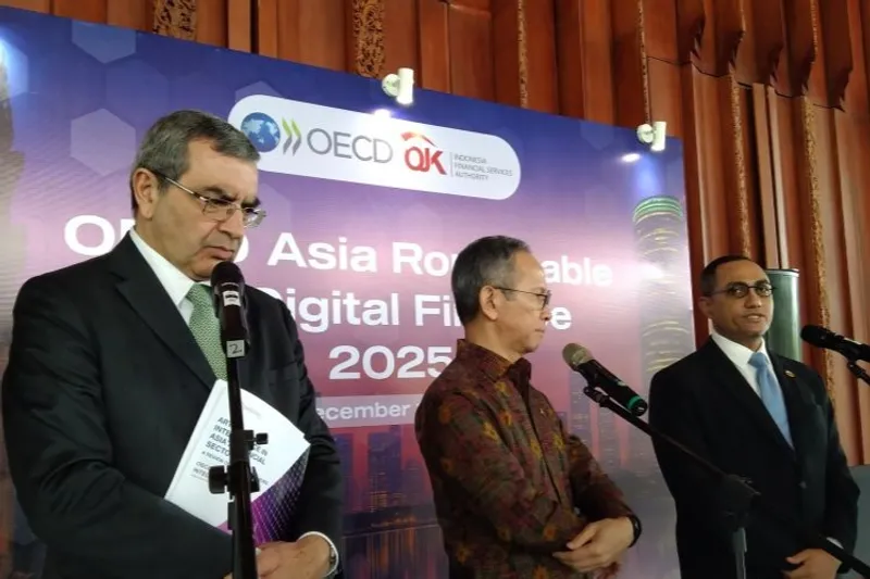 Kepala Eksekutif Pengawas Inovasi Teknologi Sektor Keuangan OJK Hasan Fawzi