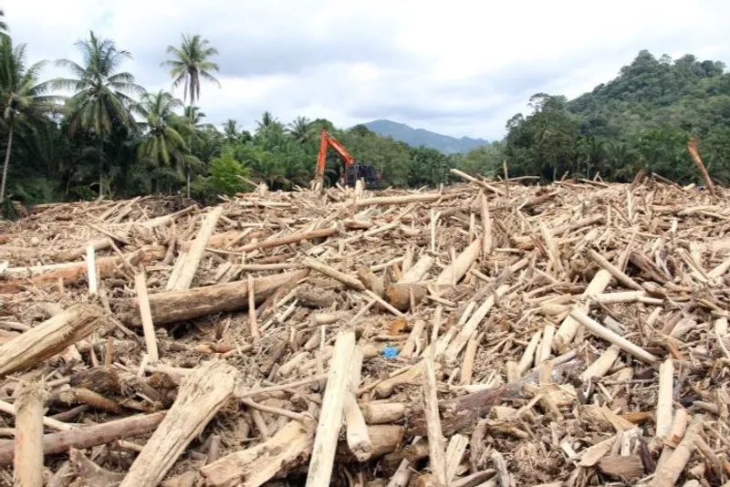 sampah kayu gelondongan pasca banjir bandang di Desa Aek Garoga, Kecamatan Batang Toru