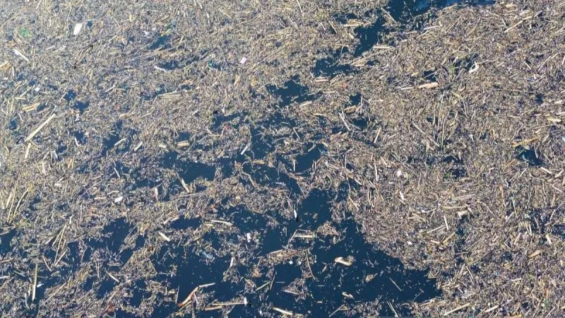 Foto udara sampah kayu gelondongan yang hanyut di Danau Singkarak 