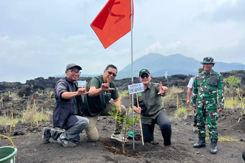 BKSDA Bali bersama LSM dan komunitas menanam pohon di Taman Wisata Alam (TWA) Gunung Batur