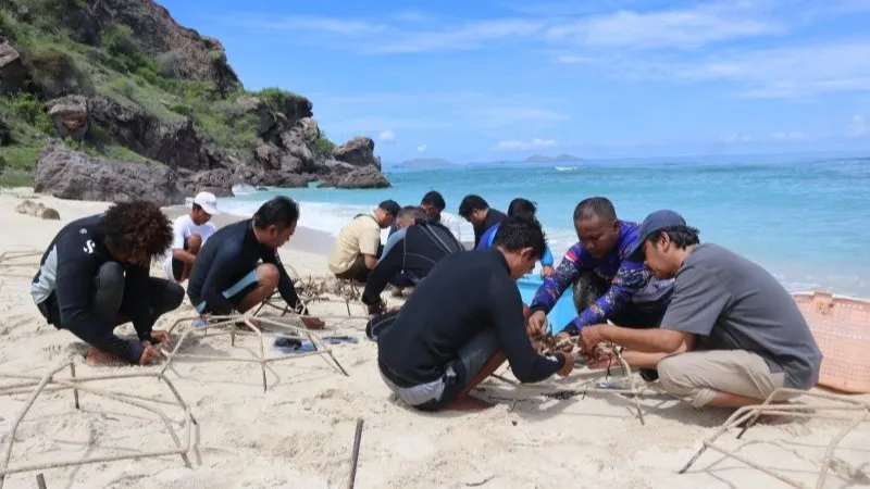 Tim penyelam saat mengikat anakan terumbu karang pada media jaring guna penanaman terumbu karang