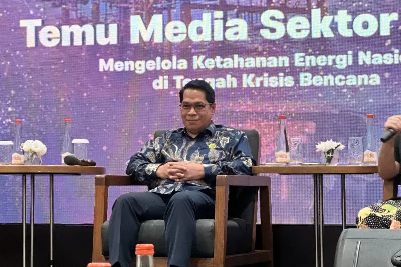 Direktur Jenderal Minyak dan Gas Bumi (Dirjen Migas) Kementerian ESDM Laode Sulaeman