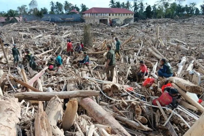 Upaya pembersihan yang dilakukan oleh tim gabungan Kemenhut, TNI, BNPB dan masyarakat di