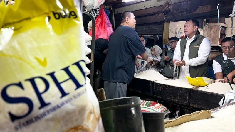 Deputi Bidang Ketersediaan dan Stabilisasi Pangan Bapanas I Gusti Ketut Astawa 