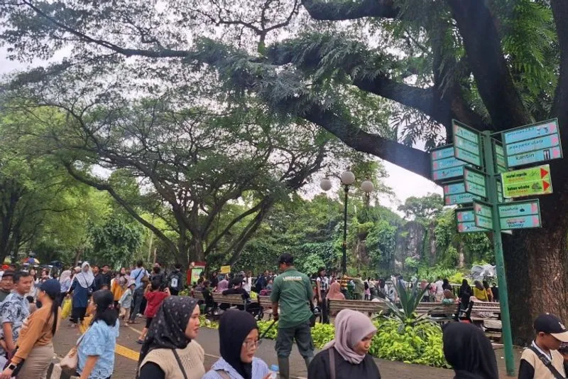 Puncak kunjungan Taman Margasatwa Ragunan