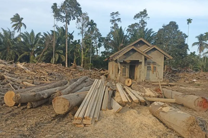 Kayu yang didata Kemenhut untuk dimanfaatkan masyarakat terdampak bencana di Aceh Utara