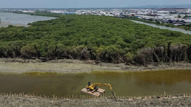 alat berat beroperasi di kawasan Hutan Mangrove Sriwulan Terboyo, Semarang