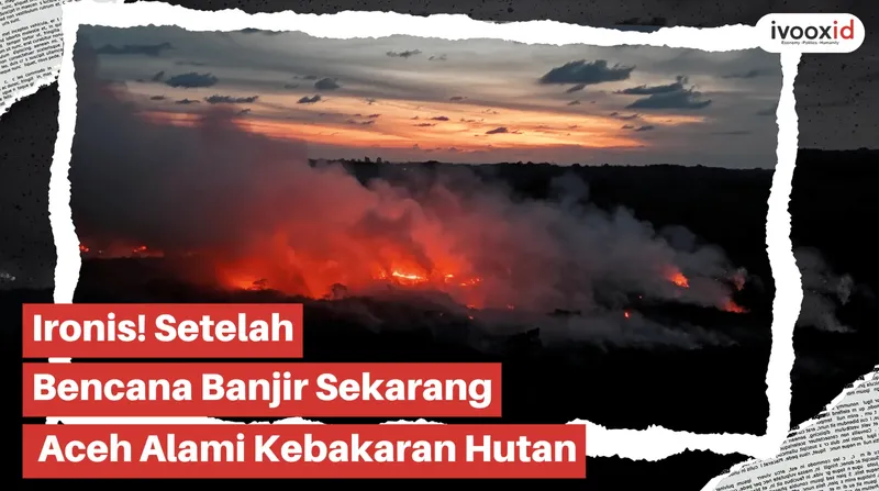 Screen Shot 2026-01-19 at 15 54 50