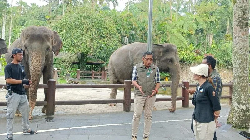 Kepala BKSDA Bali Ratna Hendratmoko 