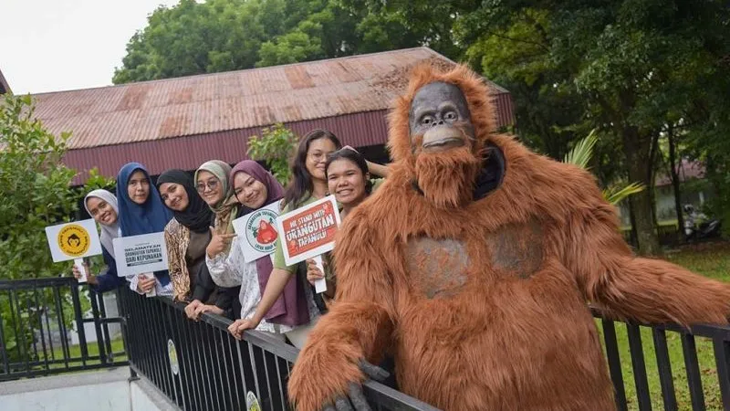 Relawan yang memakai kostum orangutan 