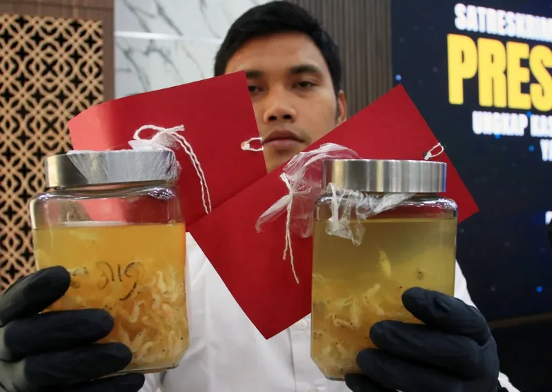 antarafoto-pencegahan-penyelundupan-benih-lobster-di-bandara-soekarno-hatta-1770