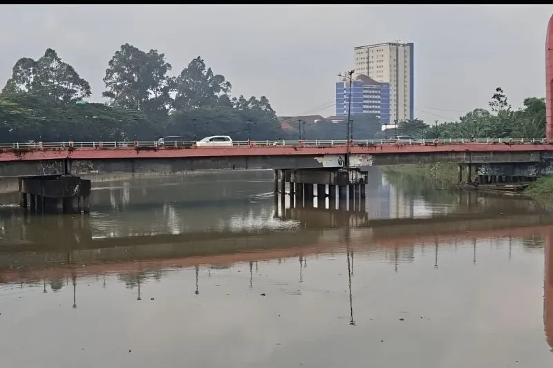 Sungai Cisadane pascatercemar zat kimia pestisida