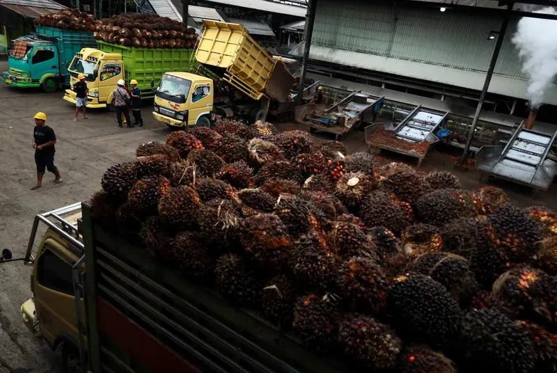 antarafoto-pertumbuhan-ekonomi-sulbar-sepanjang-2025-1770991361-1