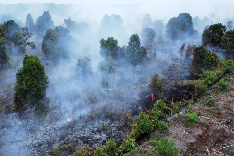 Petugas berusaha memadamkan kebakaran hutan dan lahan di wilayah Riau 