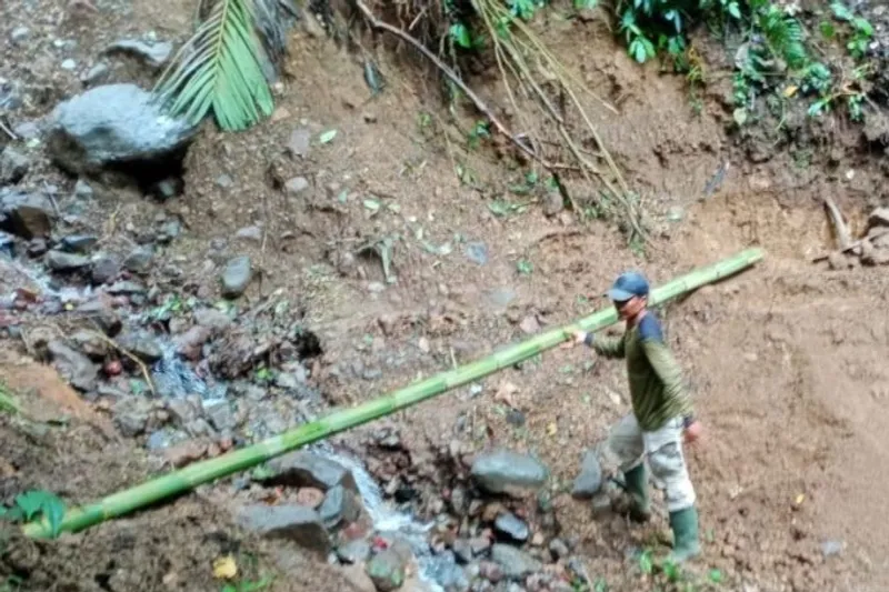 Jalur menuju Curug Cibeureum-Salabintana di kawasan Gunung Gede-Pangrango