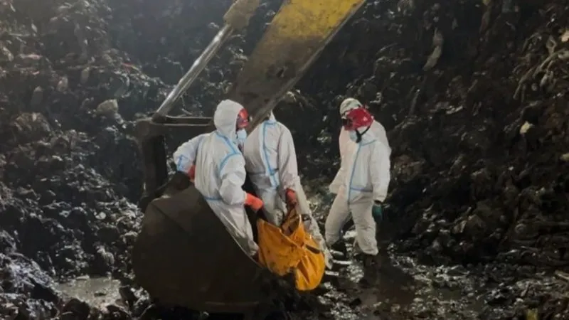 1000aSejumlah petugas Badan SAR Nasional Baasarnas 745906