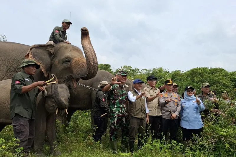 Menteri Kehutanan Raja Juli Antoni