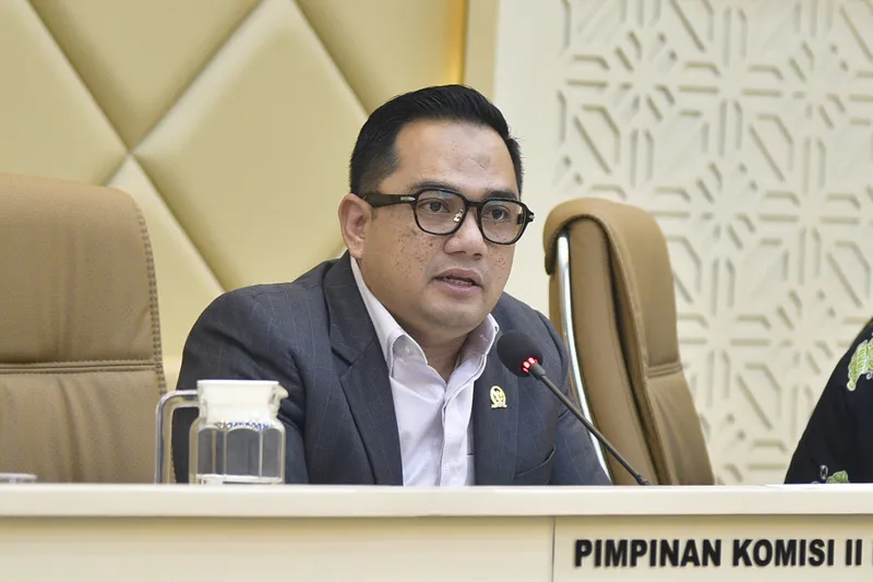 Ketua Komisi II DPR RI, Rifqinizamy Karsayuda