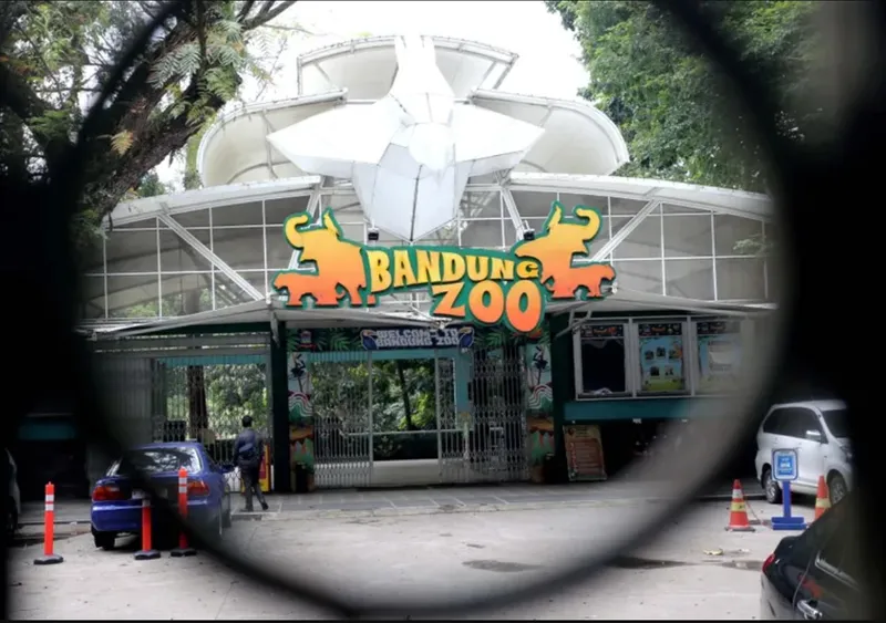 Screenshot 2026-04-06 155225