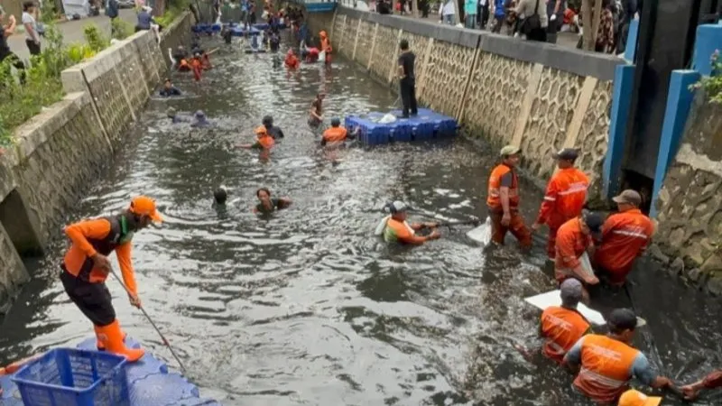 Proses penangkapan ikan sapu-sapu di Jakarta Utara