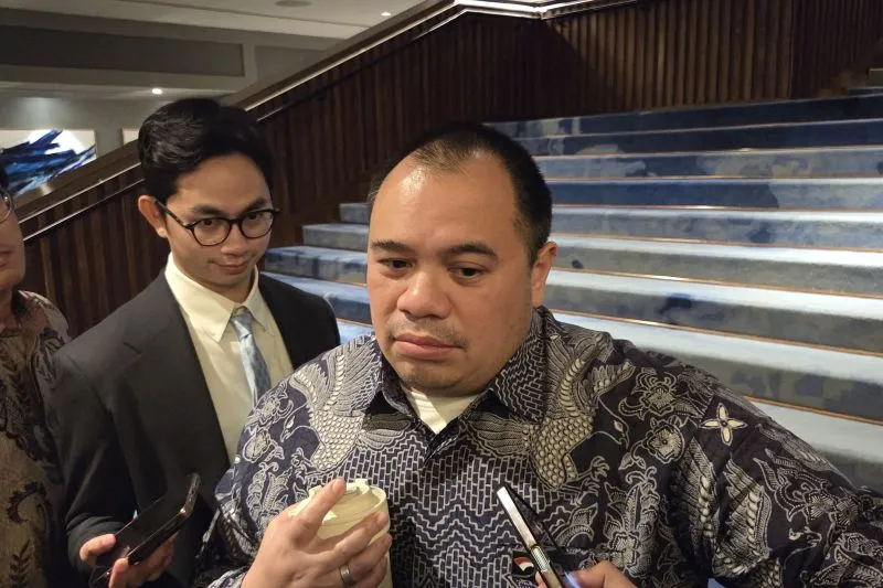 Chief Investment Officer (CIO) Danantara Pandu Sjahrir 