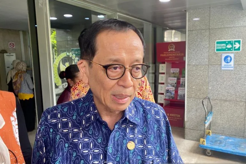 Kepala Eksekutif Pengawas Perbankan OJK Dian Ediana Rae 