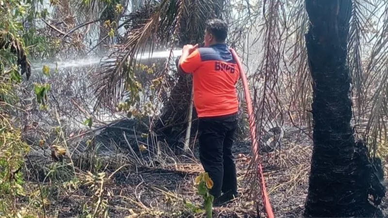 Petugas memadamkan kebakaran yang menghanguskan lahan gambut dan pohon kelapa sawit dengan cara disiram menggunakan air tanki di Gampong Meudang Ara, Kecamatan Langsa Timur, Langsa, Aceh, Kamis (23/4/2026). ANTARA/HO-BPBD Langsa