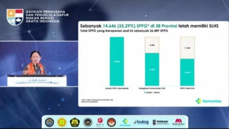 Direktur Kesehatan Lingkungan Kementerian Kesehatan, Dr. dr. Then Suyanti 