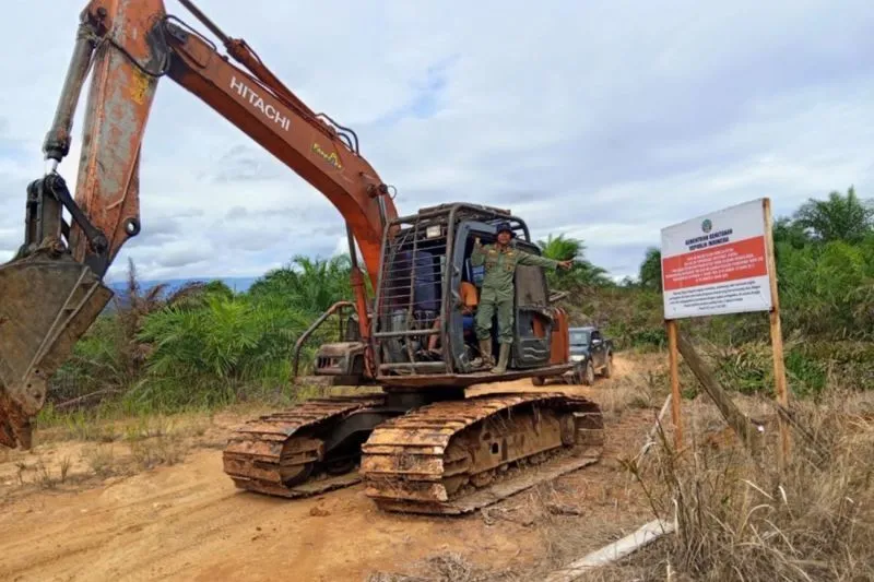 Petugas Gakkum Kemenhut mengamankan ekskavator perkebunan sawit ilegal 