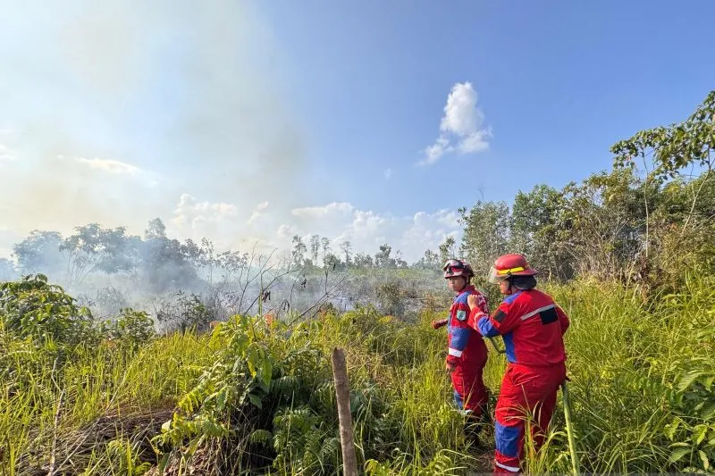 karhutla di Desa Senaken, Kecamatan Tanah Grogot, Kabupaten Paser