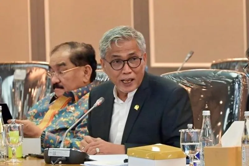 Anggota Komisi XIII DPR RI, Mafirion