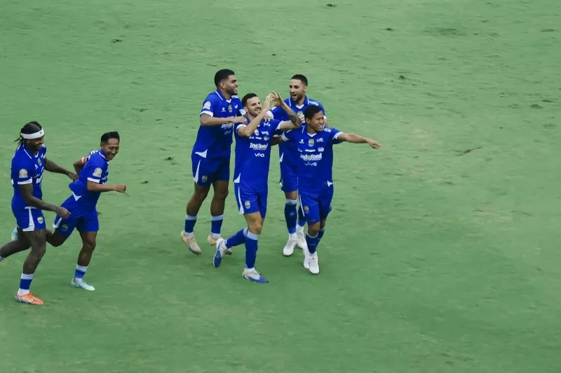 Bek Persib Bandung Matricardi 