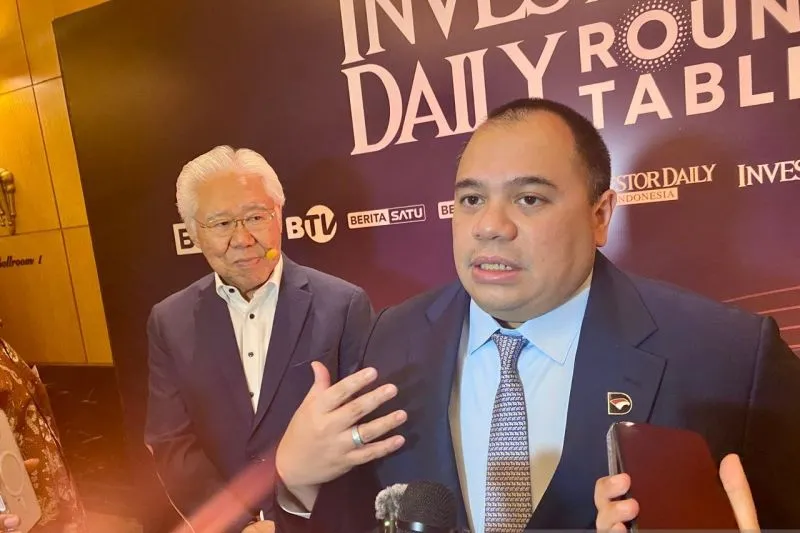 Chief Investment Officer (CIO) Danantara Indonesia Pandu Sjahrir
