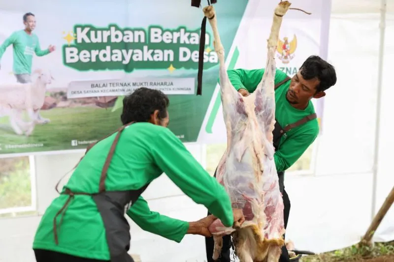 Juru sembelih saat memotong hewan kurban 
